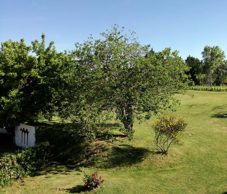 Agriturismo Morattina Castrocaro Terme Ngoại thất bức ảnh